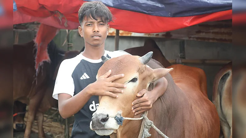 ঋণ পরিশোধে বাবার লাশ দাফন করেই হাটে আরিফুল