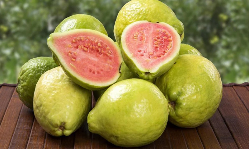 যে ৫ শারীরিক সমস্যায় পেয়ারা খাওয়া ঠিক নয়